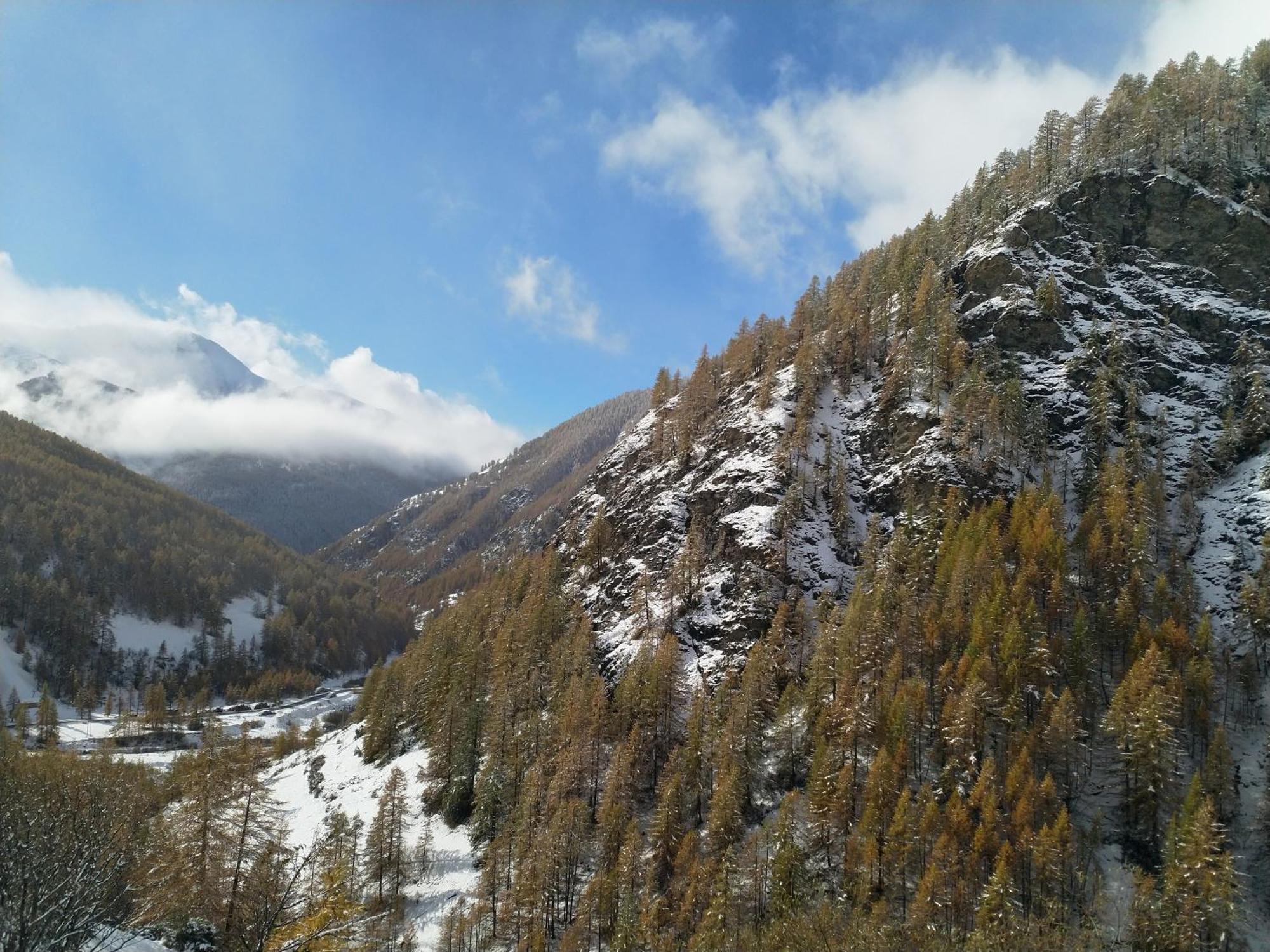 Le Grenier Du Roux Daire Abriès Dış mekan fotoğraf