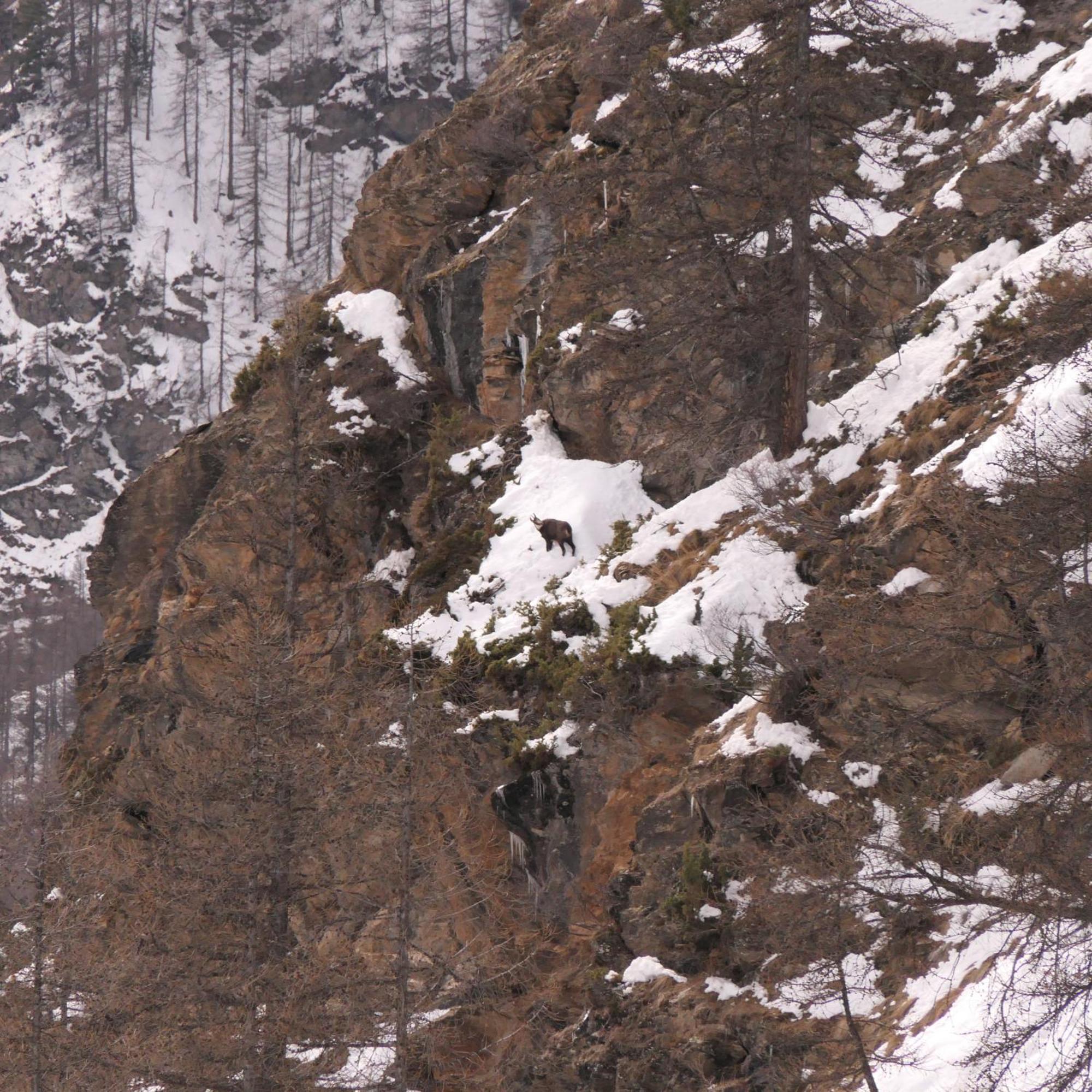 Le Grenier Du Roux Daire Abriès Dış mekan fotoğraf